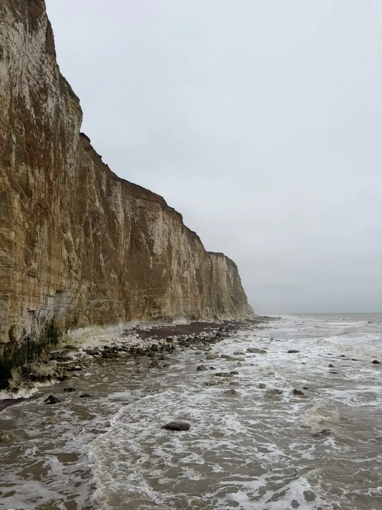 The chalk cliffs east of Brighton, viewed from the foreshore
