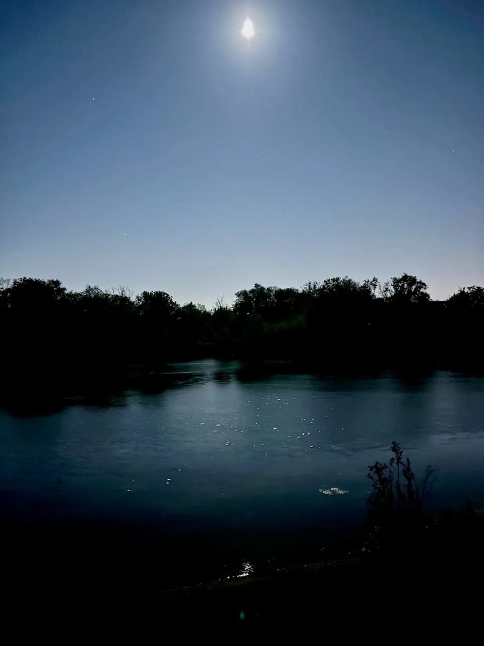 Wanstead Park at night