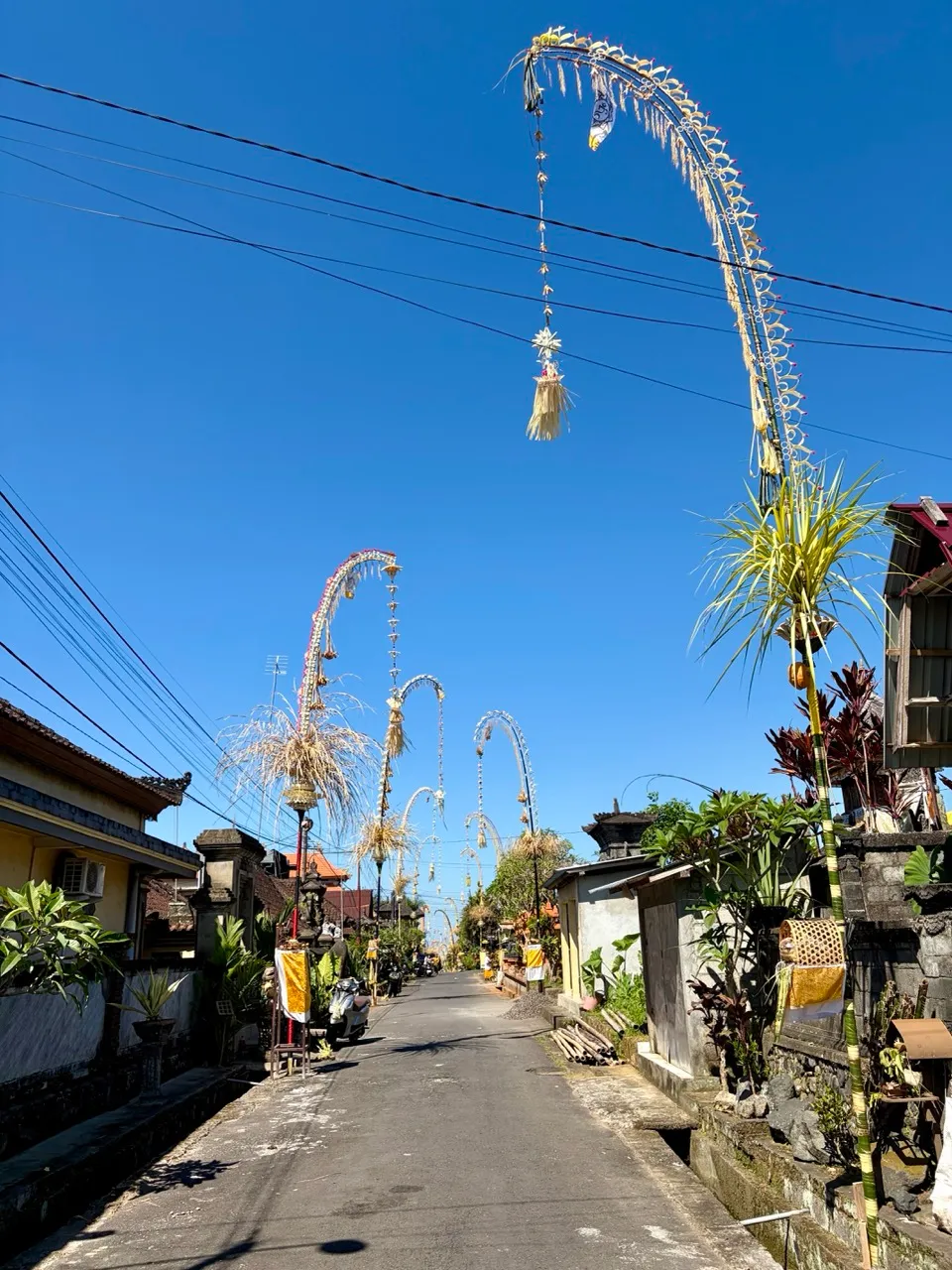 Penjor poles decorating the streets for Galungan