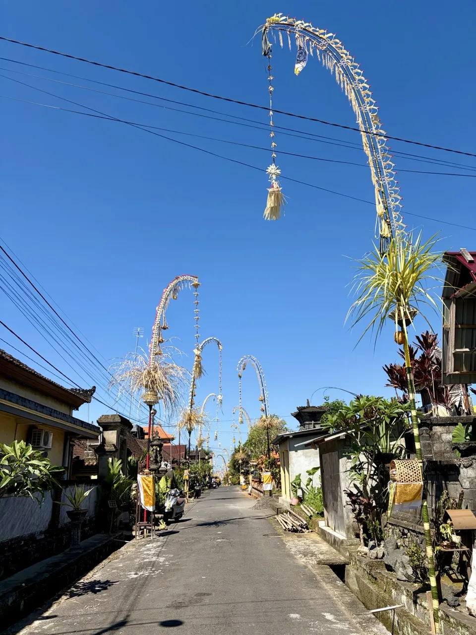 Penjor poles decorating the streets for Galungan