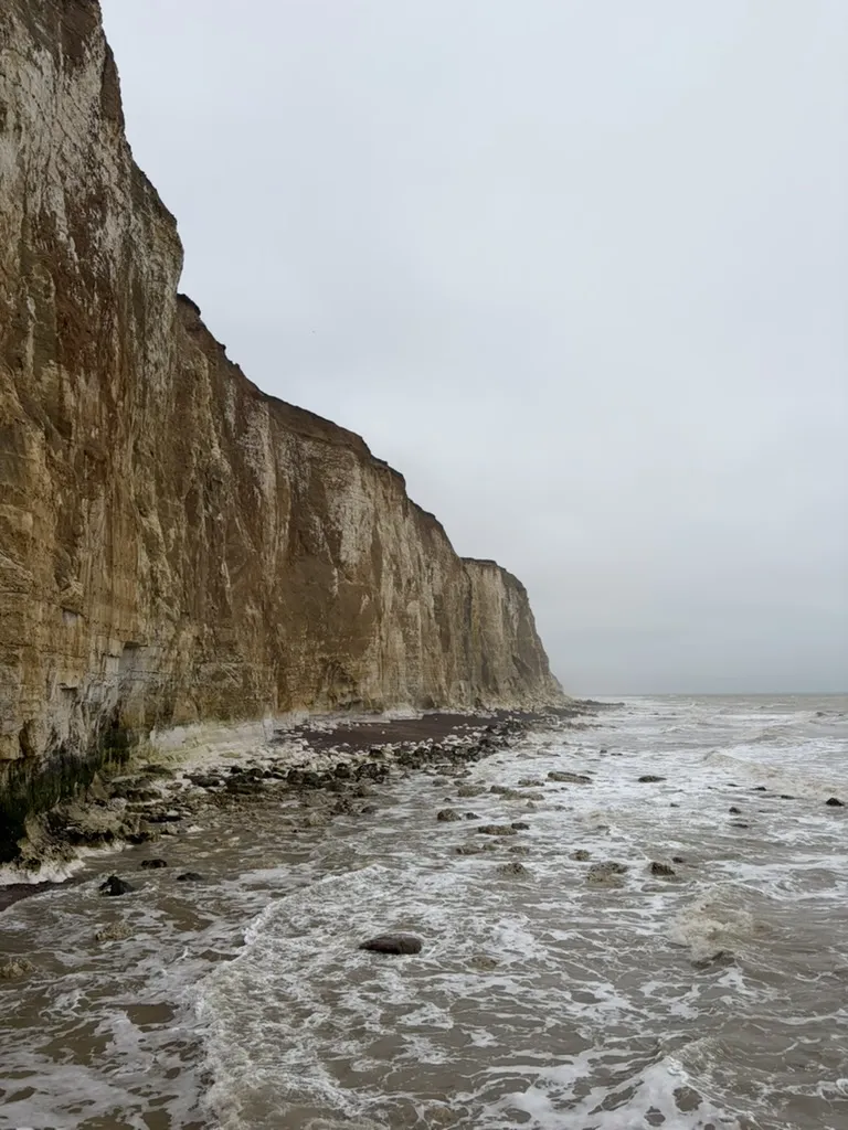 The chalk cliffs east of Brighton, viewed from the foreshore