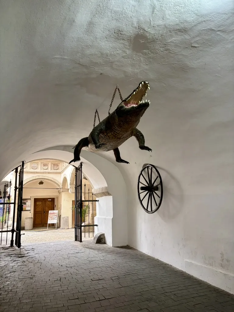 The Brno dragon and the wheel, under the Old Town Hall