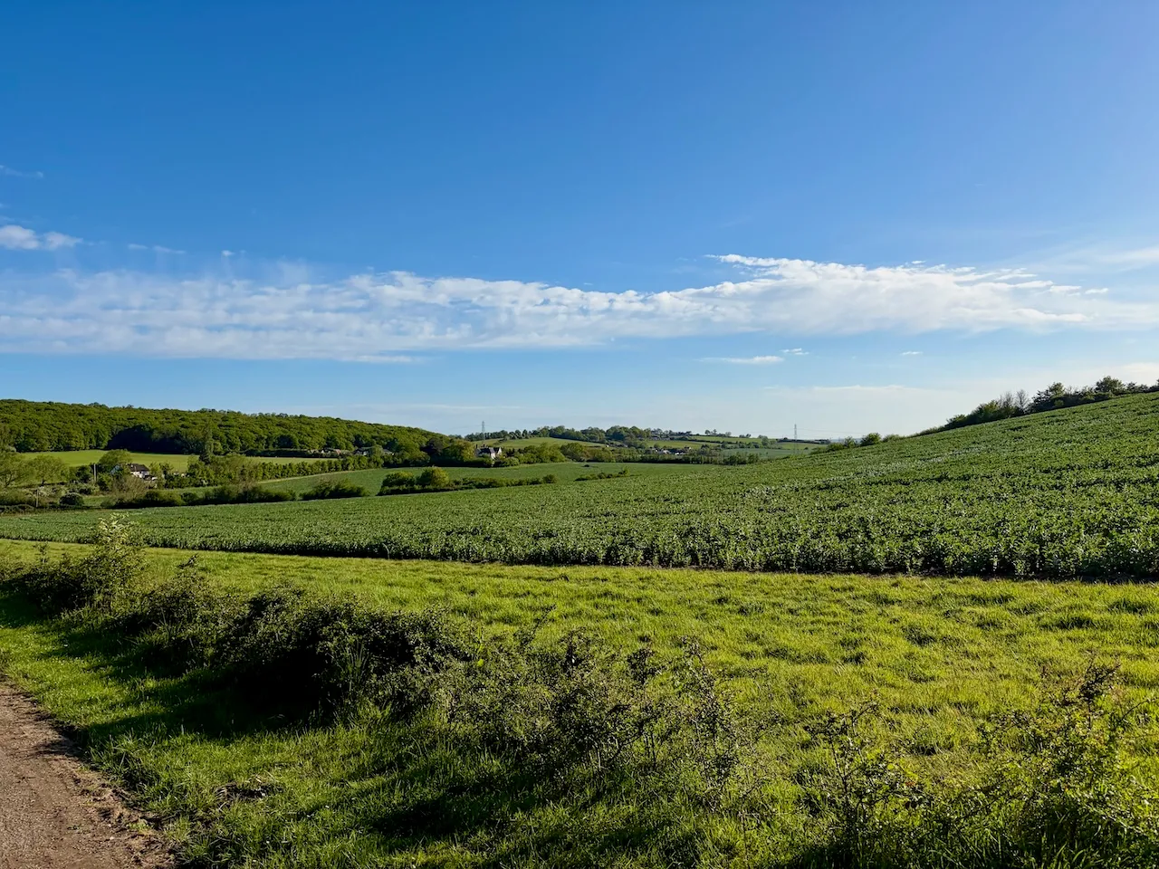 The Lea Valley - countryside