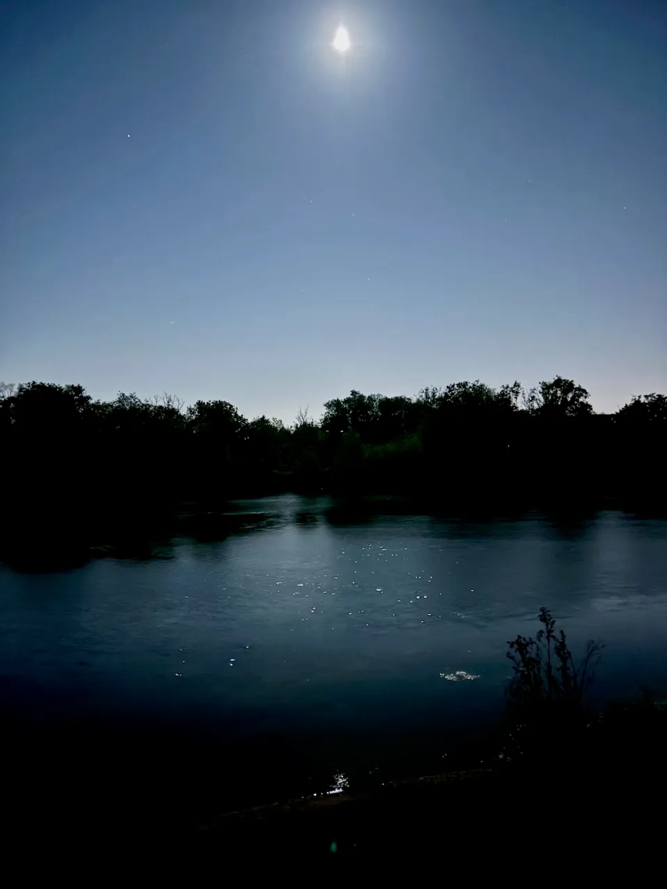 Wanstead Park at night