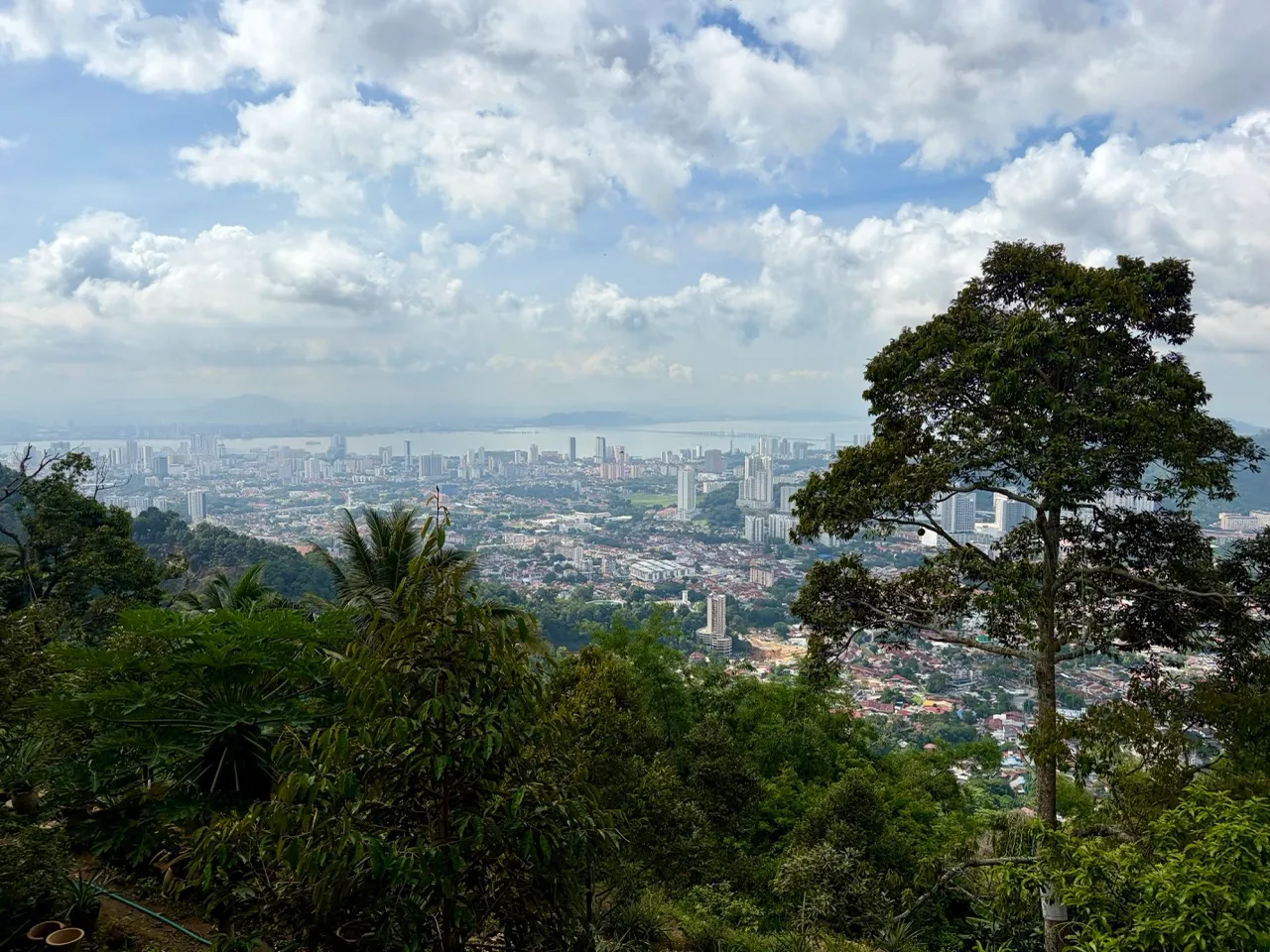 View from the top of Penang Hill